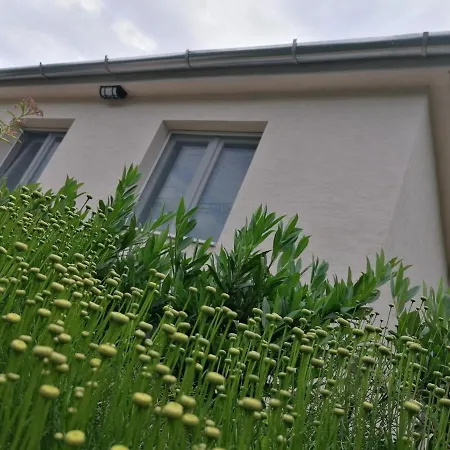 Vakantiehuis Levelke Mini